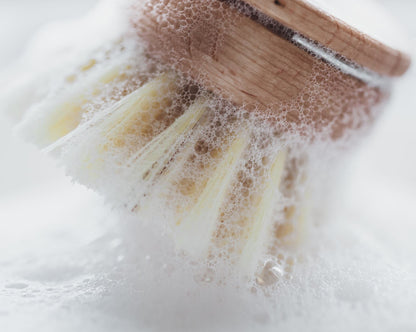 Wooden Cleaning Brush